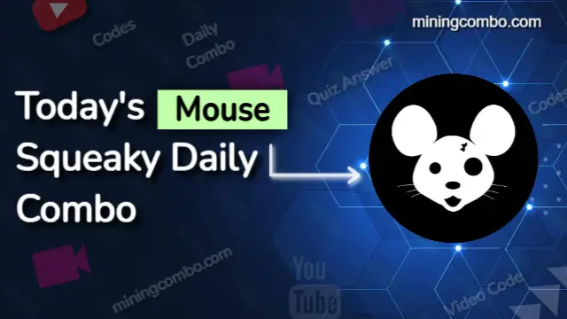 Mouse Squeaky Daily Combo