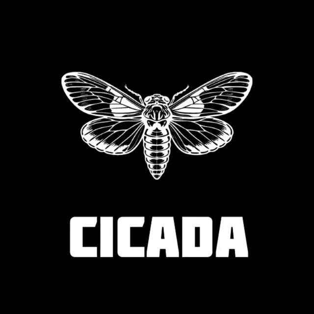 Cicada logo