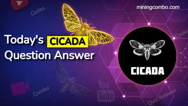 cicada Question answer cover