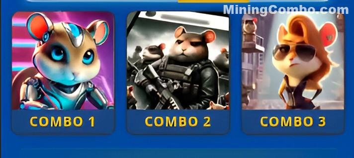Daily Combo